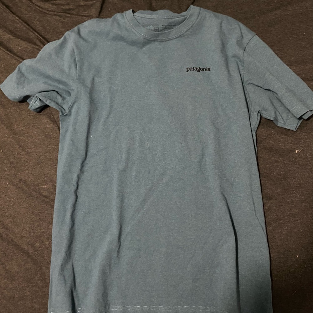 Patagonia Tshirt